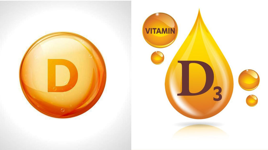 Vitamin D vs D3: What's the Difference and Why It Matters
