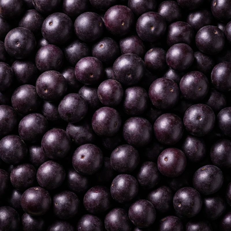 Acai Berry